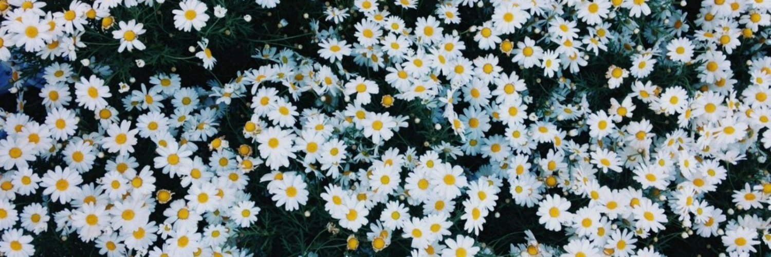 pato_almada's profile banner image