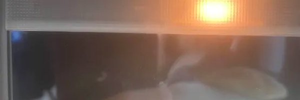 MerricUwU Profile Banner