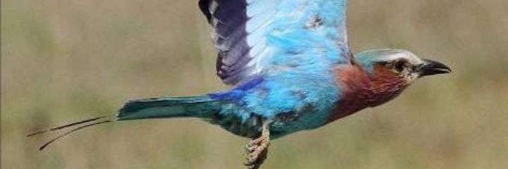 LemasonVictor's profile banner image