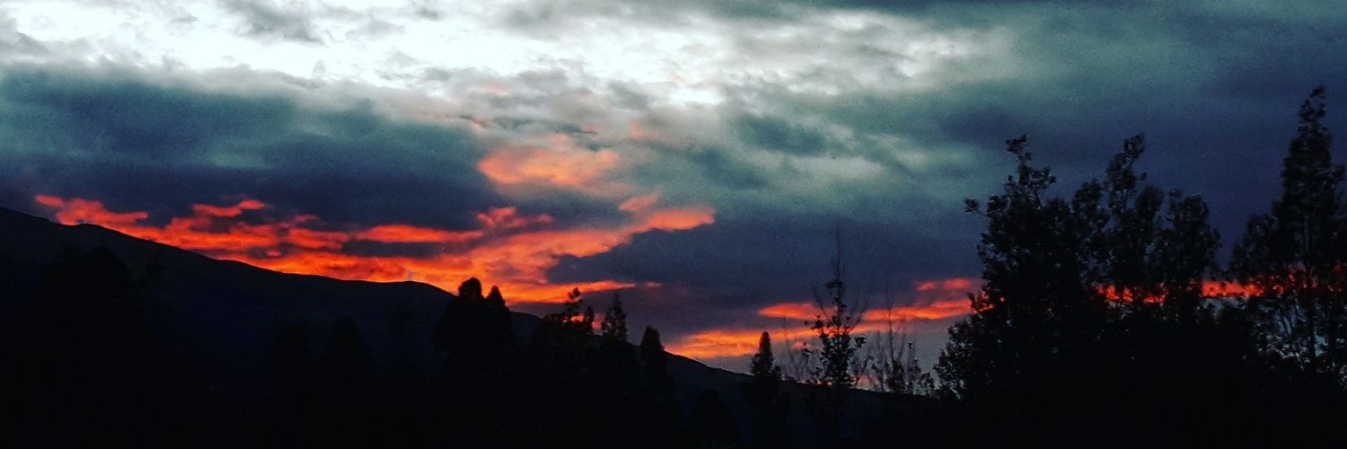 csarbena1's profile banner image