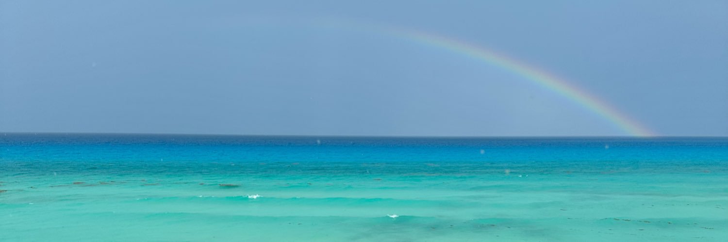 Iveth1010_'s profile banner image