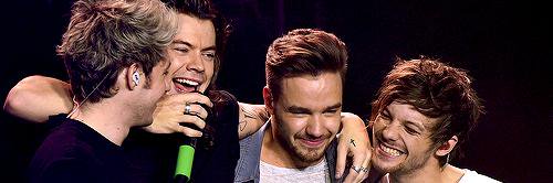 bravery1D's profile banner image