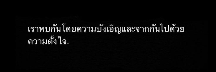 ลูซีน banner