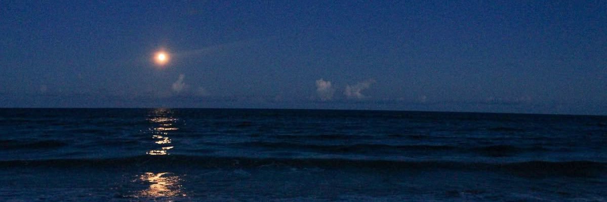 tommobby's profile banner image