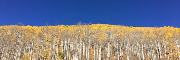 tobydayton Profile Banner