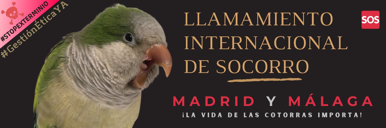 SaveParakeets's profile banner image