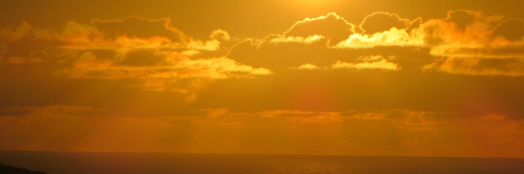 Fat_Forluss's profile banner image