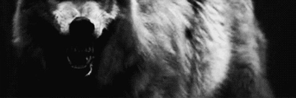 wolfchirp Profile Banner