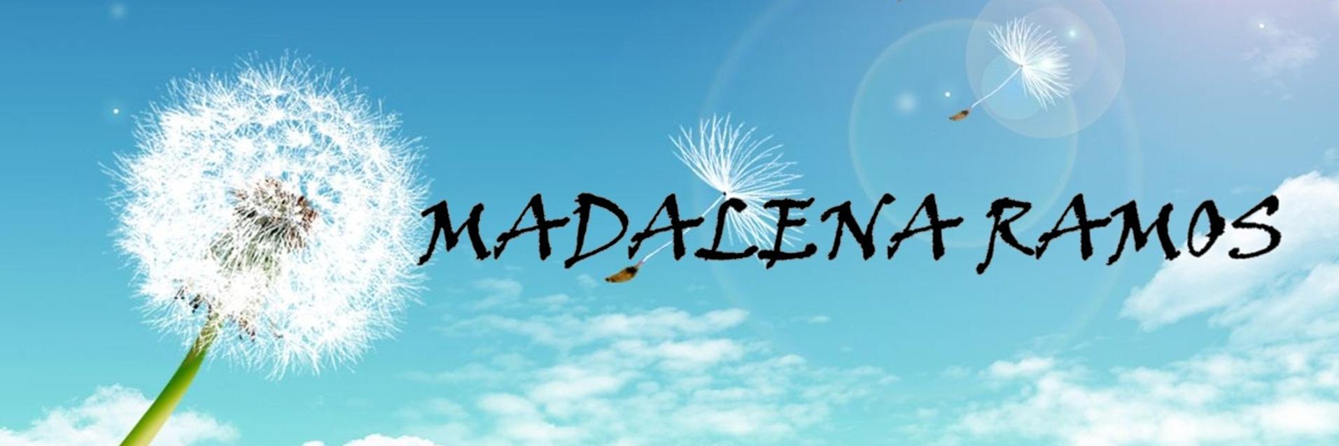 MadaFarinha's profile banner image