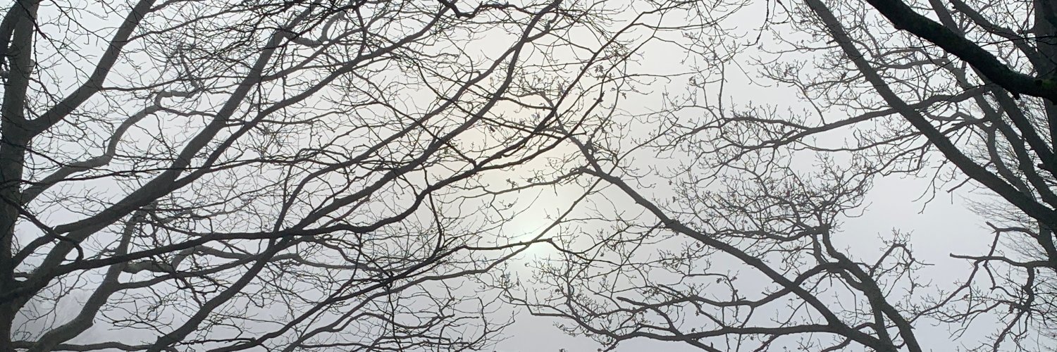 subhash r ghosh banner