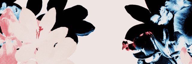 faby_merlin's profile banner image