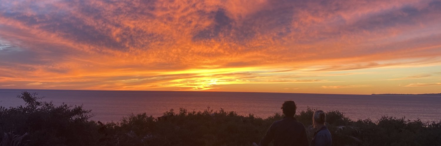 MadysonShew's profile banner image
