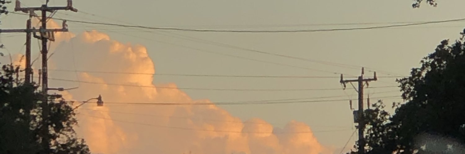 emillykrupa's profile banner image