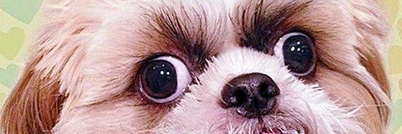 chadthe21th's profile banner image