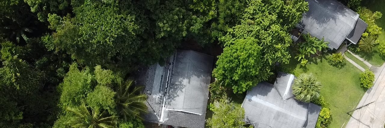 West Till Dawn banner