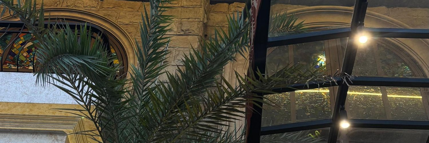 stupityass🐾 banner