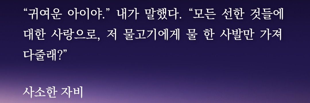 STARRY_0203's profile banner image