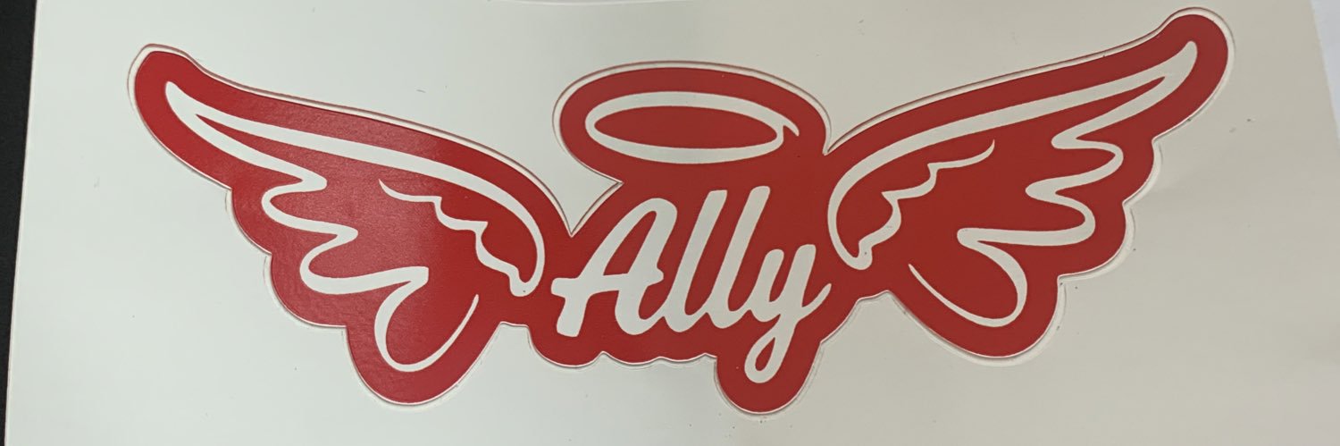 AS 3 Soccer Training Academy banner