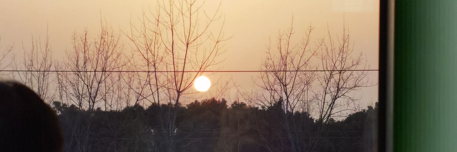 wushentui's profile banner image