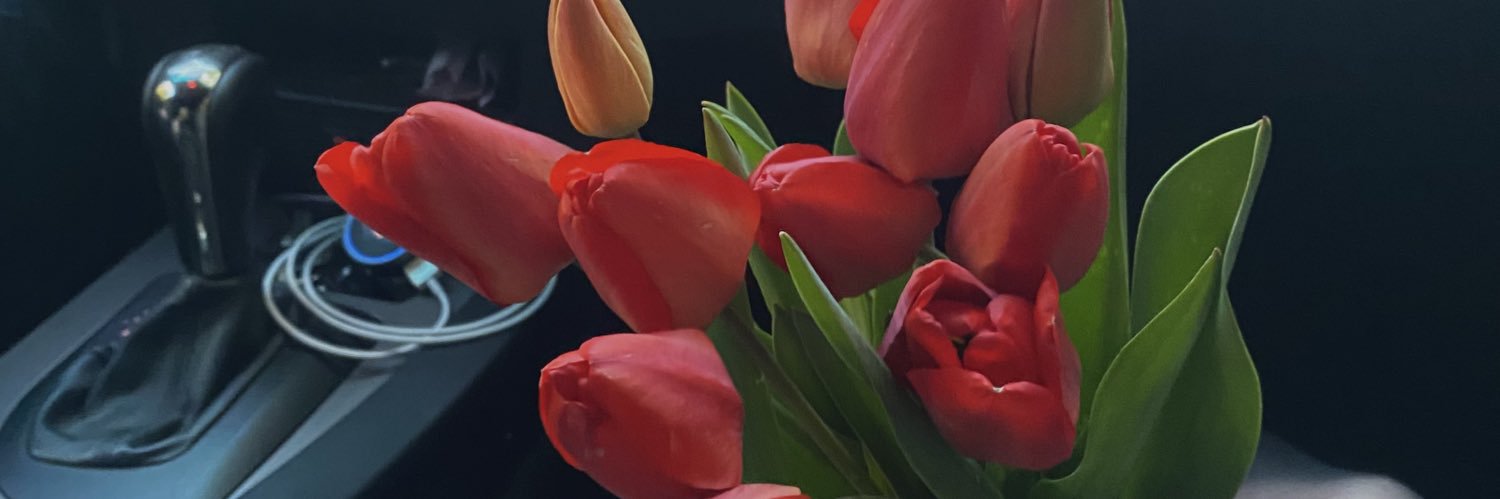 kit_mars's profile banner image