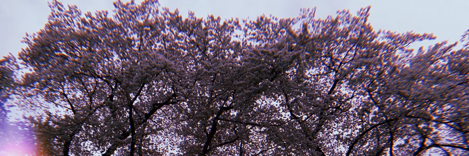 ashleywellman29's profile banner image