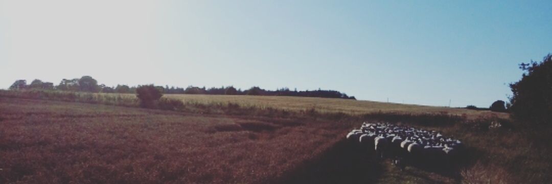 jesscollins87's profile banner image