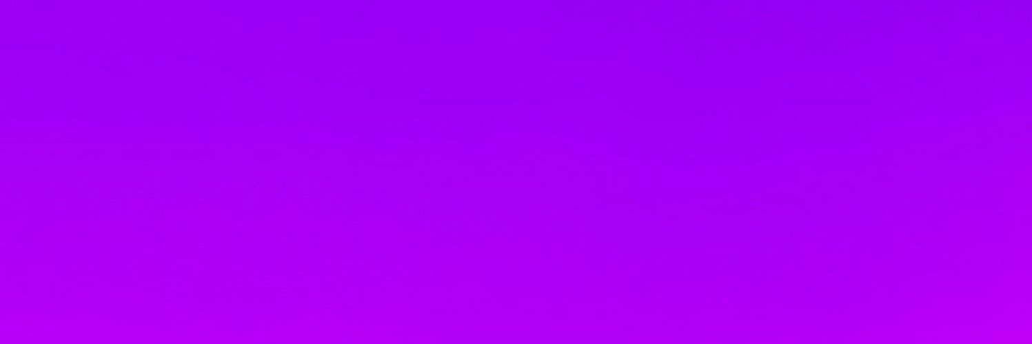 Raimon Virtuale banner