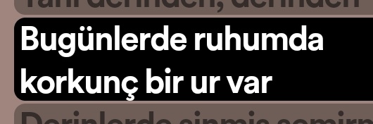 bagc_berfin's profile banner image