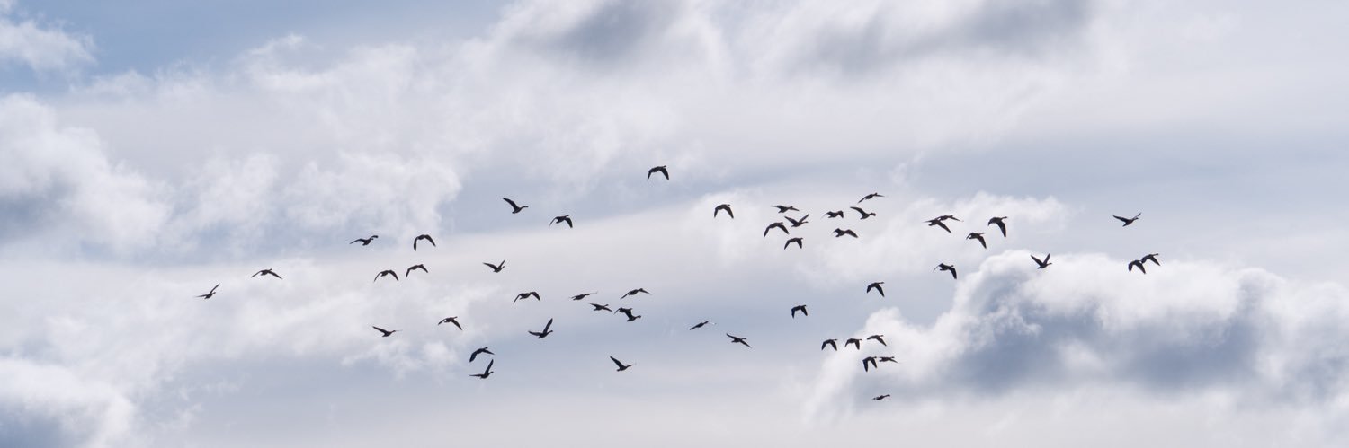 Aneczka 🥹 || #THANKYOUKAORI banner