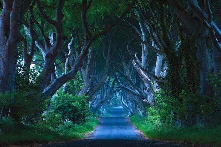 crisrobb's profile banner image