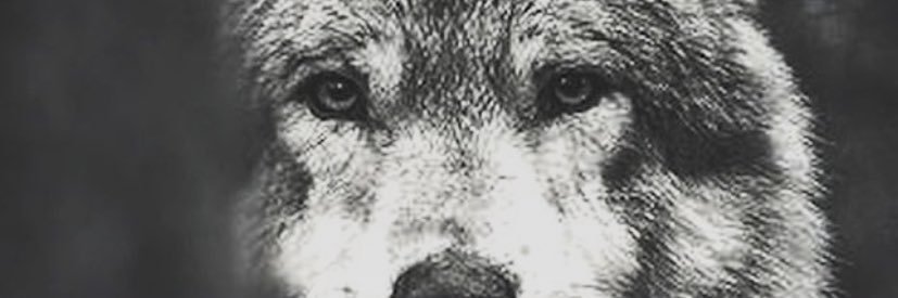 bubz08 banner