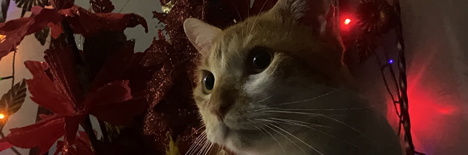 Ttprettyy's profile banner image