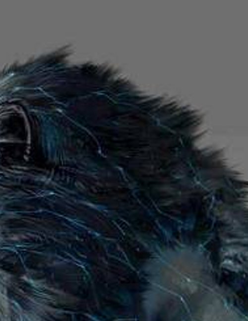 mitcsh's profile banner image