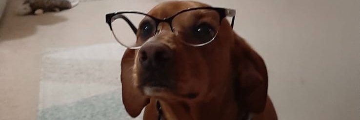 yelgabs's profile banner image