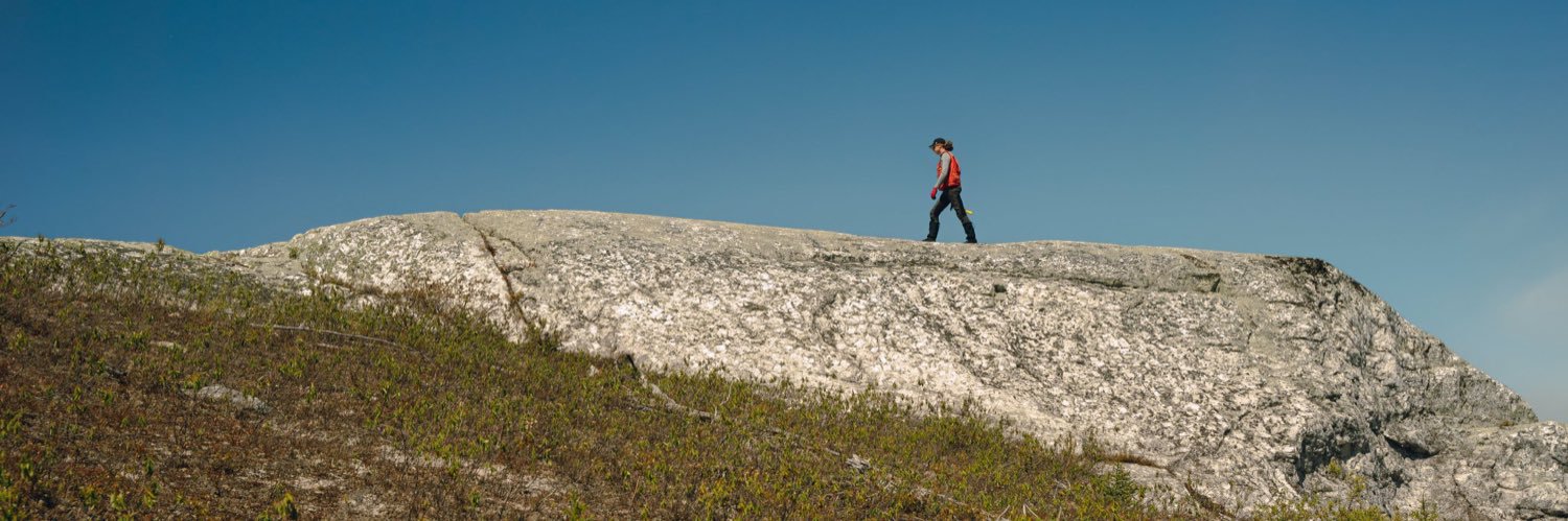 Q2 Metals Corp (QTWO: TSX-V, QUEXF: OTCQB)'s banner