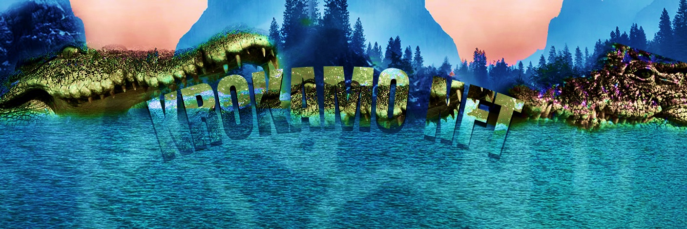 KrokamoNft's profile banner image