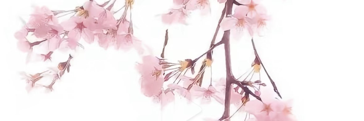 ln_94tns's profile banner image