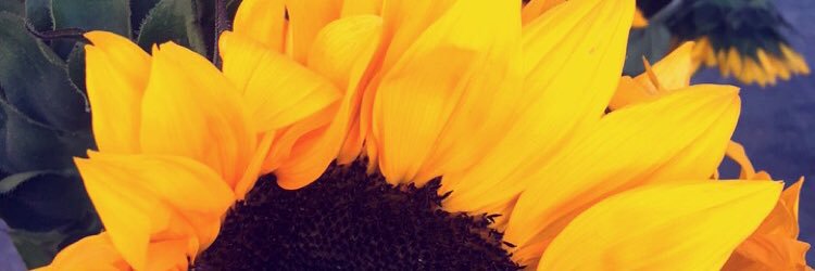 tgigs24's profile banner image
