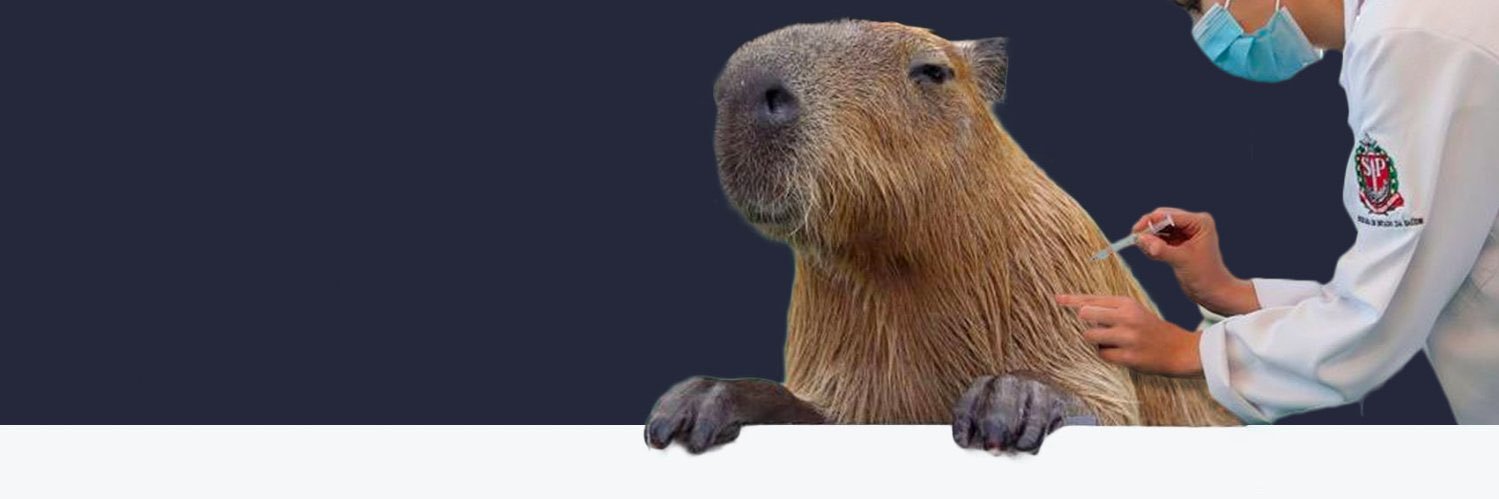 ayanameyer's profile banner image
