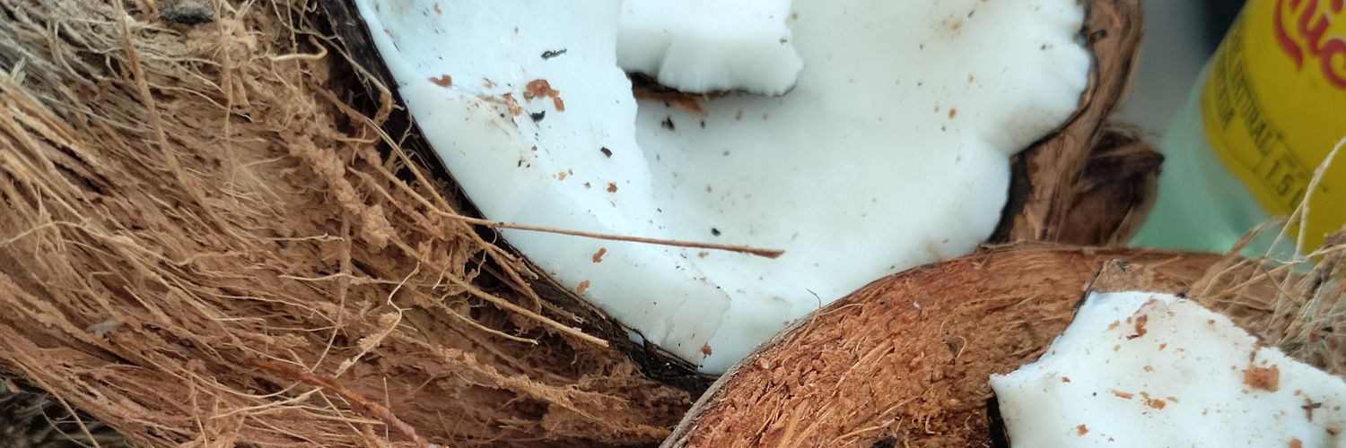 ElPatoWorld's profile banner image