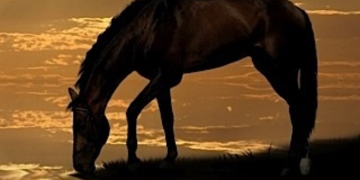 Equuslibrium, PC banner