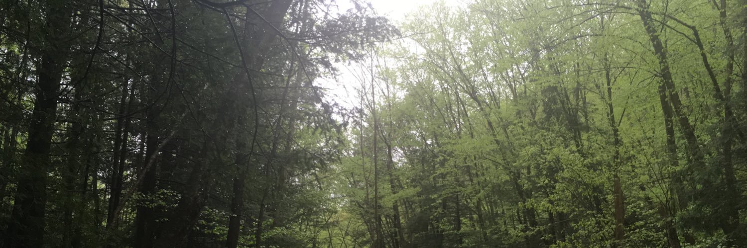 DankMids's profile banner image