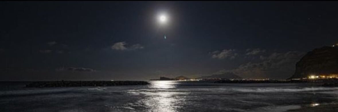 الشمري“ banner