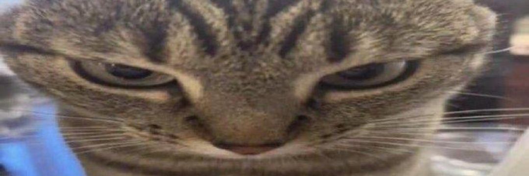 scrumblous 🏳️‍⚧️ banner