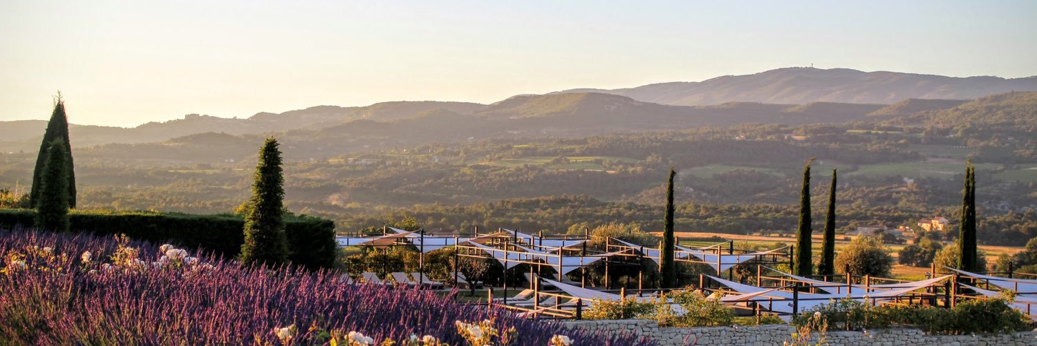 Dana Chamorro banner