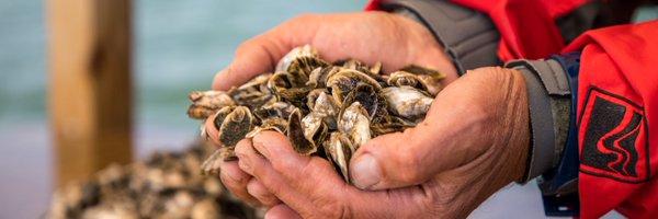 sgcc4climate Profile Banner