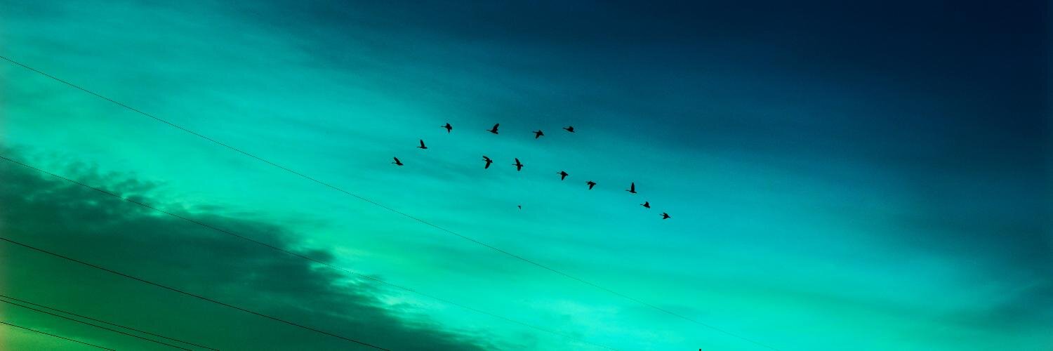 davelauretti's profile banner image