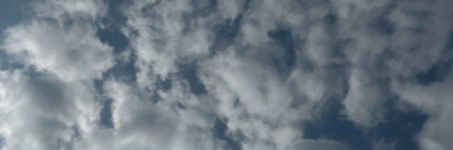 niu_sr's profile banner image