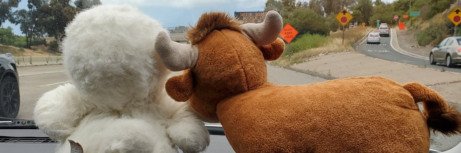 WinkieDuck's profile banner image