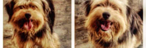 scarlinvargas's profile banner image